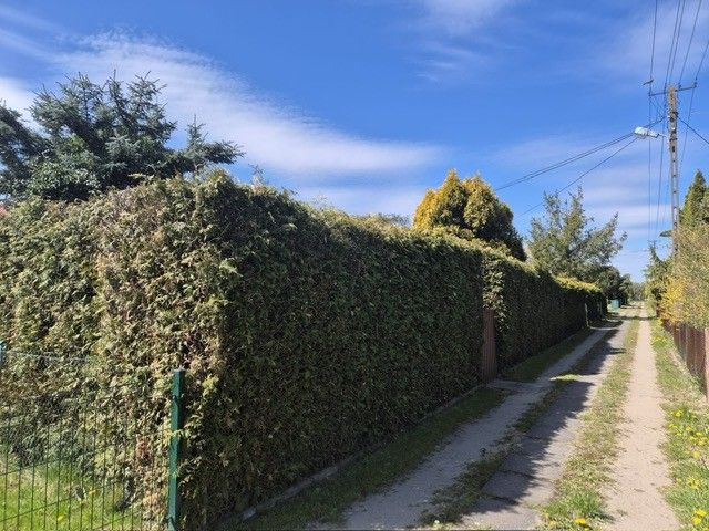 Działka rod Wronowice, Kolumna - Przedwiośnie. Zdjęcie 5
