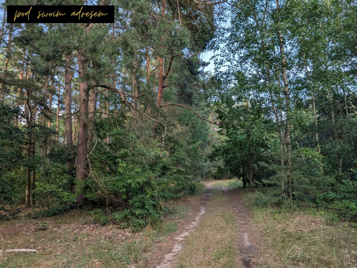 Działka rekreacyjna Małe Łąkie. Zdjęcie 2