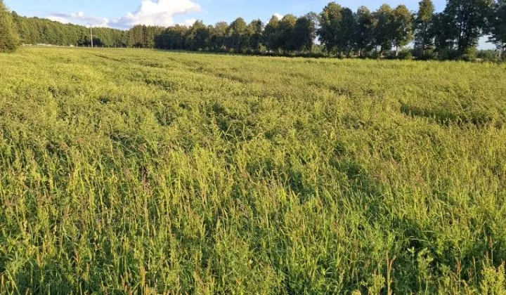 Działka rekreacyjna Sochy