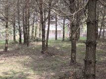 Działka leśna Ruś. Zdjęcie 2