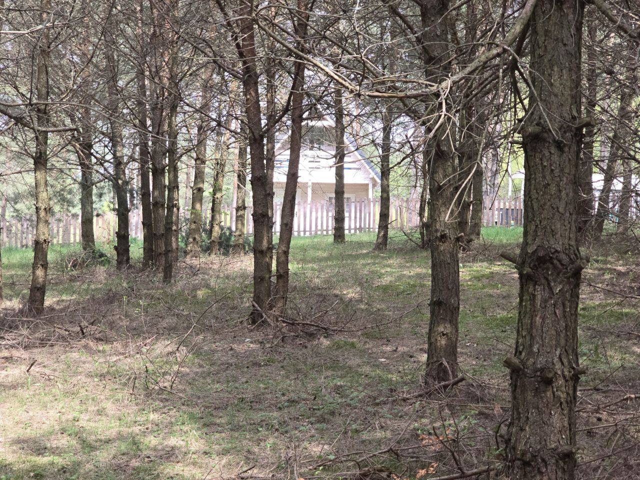 Działka leśna Ruś. Zdjęcie 3