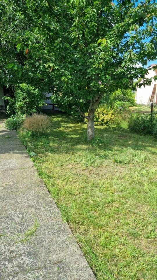 Działka rod Chełmno. Zdjęcie 3