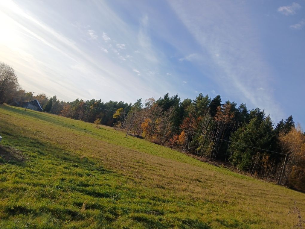 Działka rolno-budowlana Pisarzowa. Zdjęcie 2