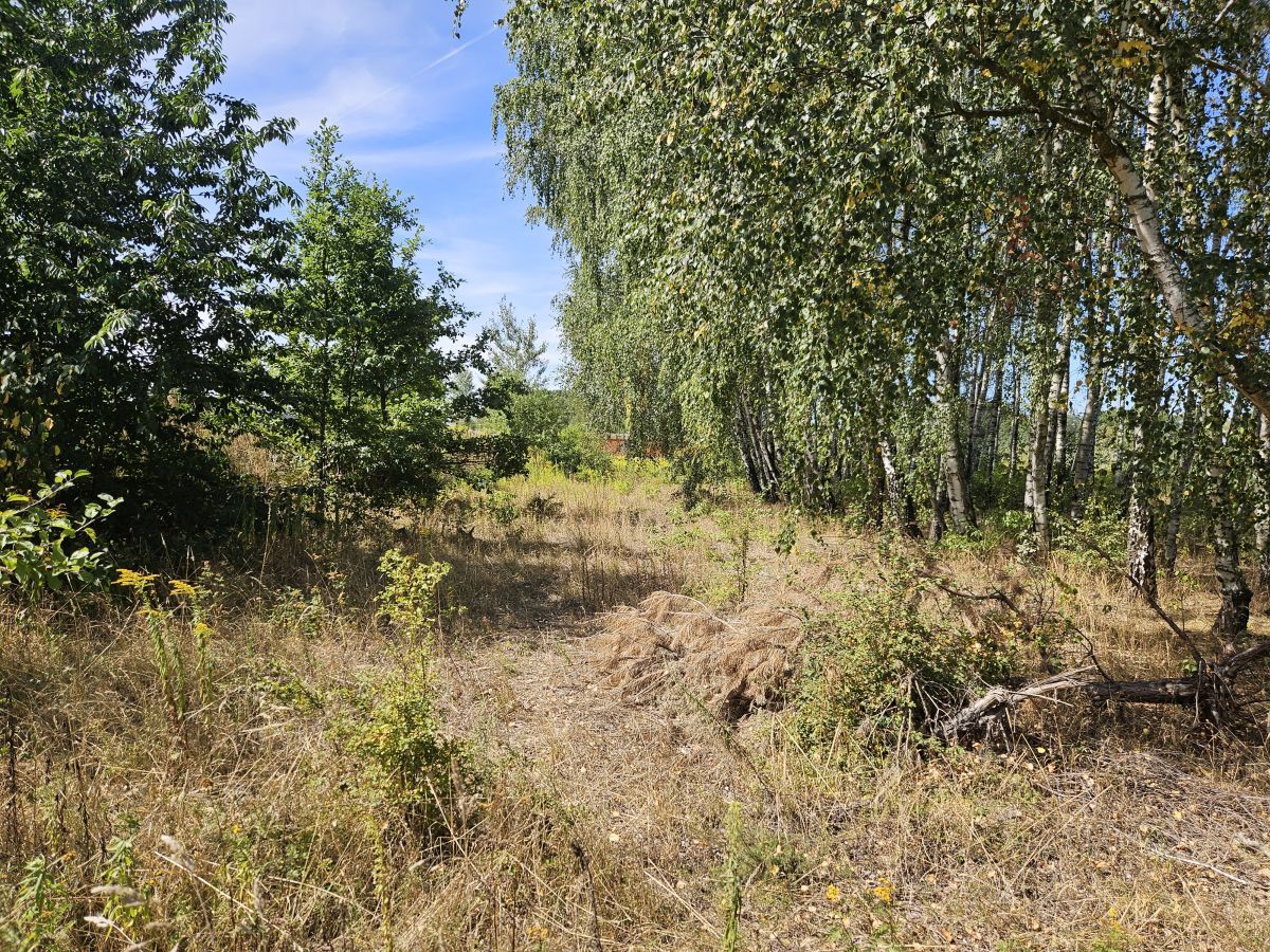 Działka budowlana Stara Wieś. Zdjęcie 6