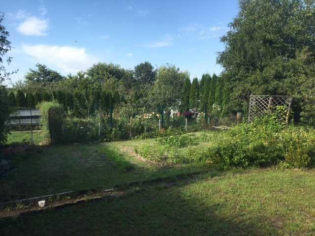 Działka rod Rypin. Zdjęcie 5