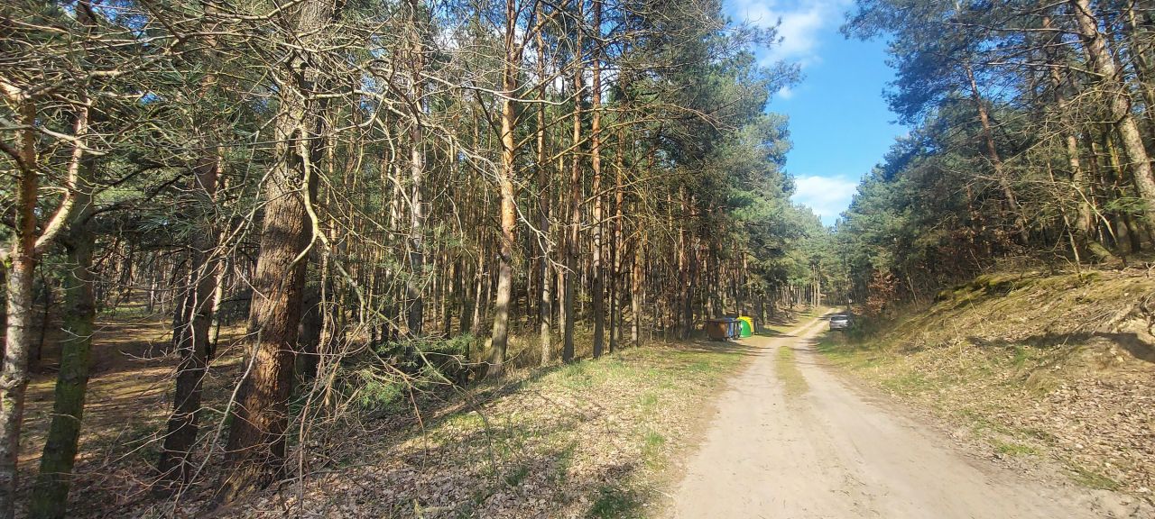 Działka leśna Stawiska Wymysłowo. Zdjęcie 2