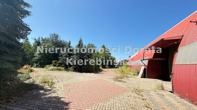 Hala/magazyn Ujazd. Zdjęcie 17