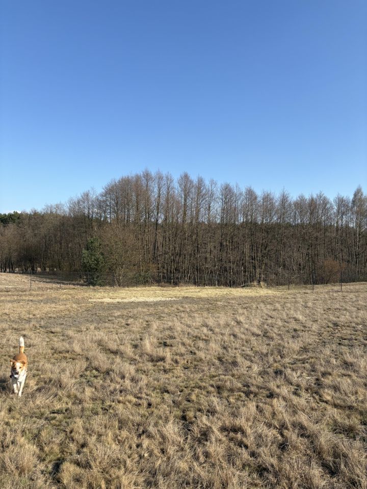 Działka rekreacyjna Stawiska Wymysłowo. Zdjęcie 4