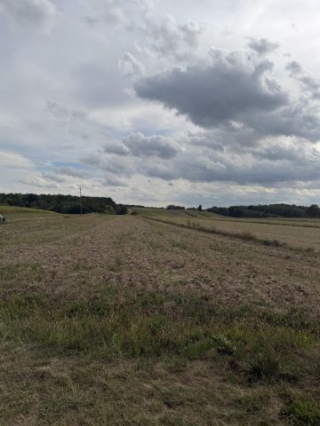 Działka budowlana Nałęczów Bochotnica, ul. Sędziego Michała Tarki. Zdjęcie 1