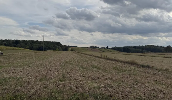 Działka budowlana Nałęczów Bochotnica, ul. Sędziego Michała Tarki