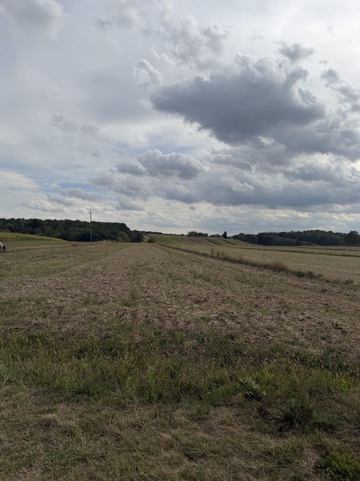 Działka budowlana Nałęczów Bochotnica, ul. Sędziego Michała Tarki. Zdjęcie 1