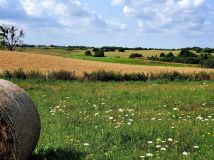 Działka budowlana Leleszki. Zdjęcie 1