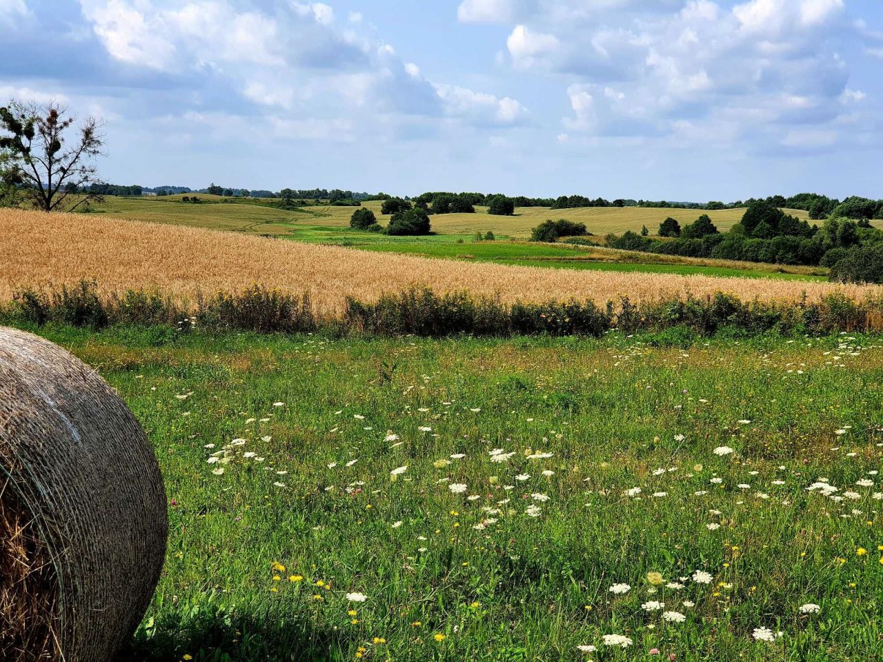 Działka budowlana Leleszki. Zdjęcie 2
