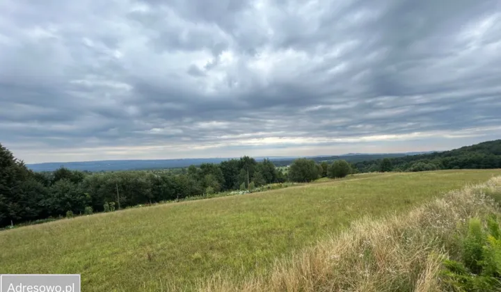 Działka rolna Płaza, ul. Batalionów Chłopskich