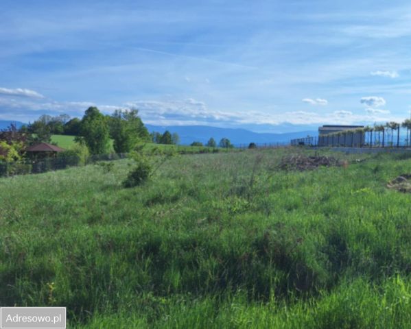 Działka budowlana Dziwiszów, ul. Podgórska. Zdjęcie 1