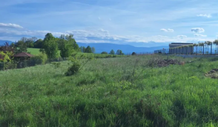 Działka budowlana Dziwiszów, ul. Podgórska