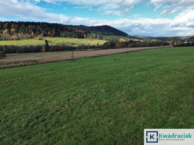 Działka rolna Daliowa. Zdjęcie 10