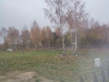 Działka rekreacyjna Parlino, Parlino. Zdjęcie 1