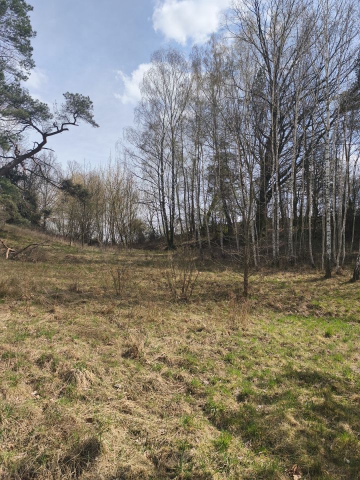 Działka budowlana Huta Podgórna, ul. Wzgórze. Zdjęcie 3