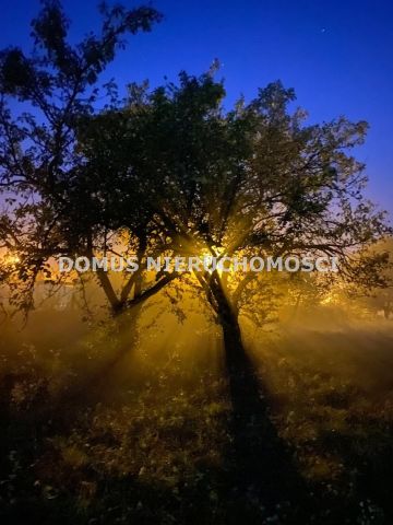 Działka budowlana Rogów. Zdjęcie 2