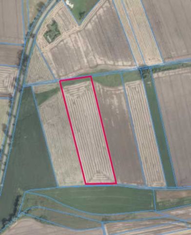 Działka rolna Kopyłów. Zdjęcie 1