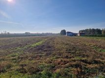 Działka rolna Pęcław. Zdjęcie 2