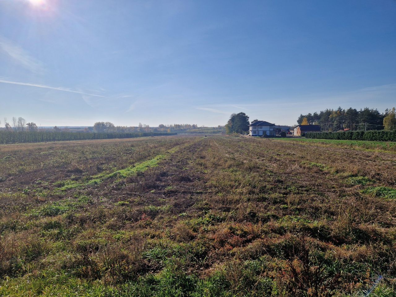 Działka rolna Pęcław. Zdjęcie 3
