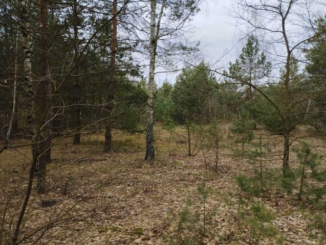 Działka budowlana Helenów. Zdjęcie 1