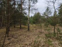 Działka budowlana Helenów