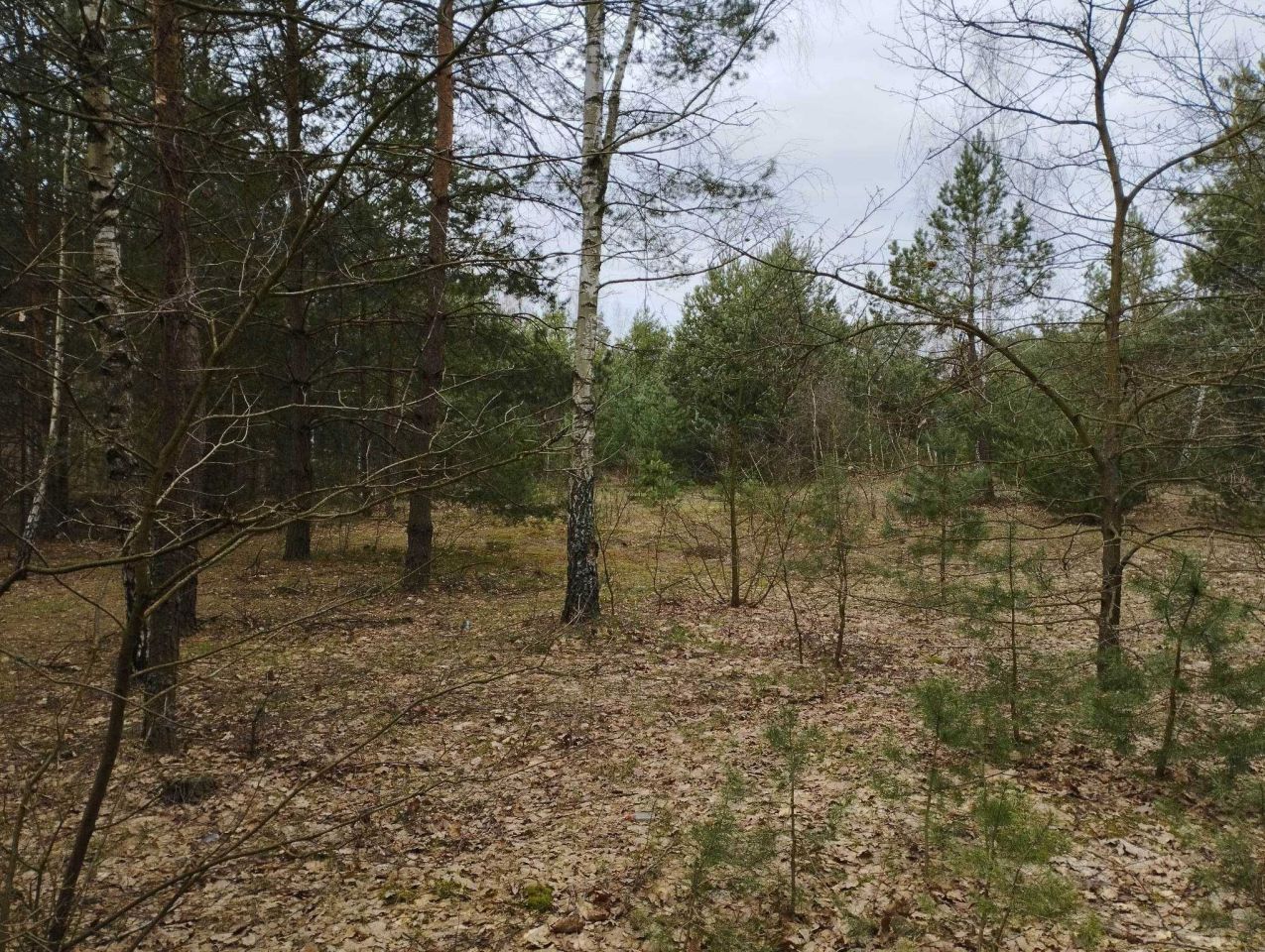 Działka budowlana Helenów