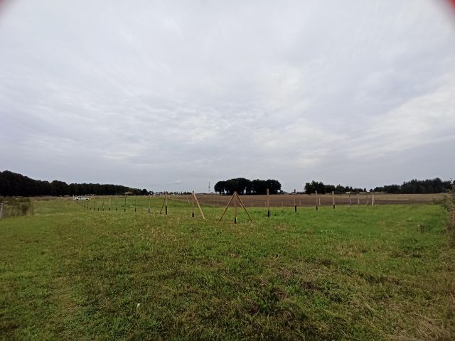 Działka budowlana Gościno, ul. Lipowa. Zdjęcie 1