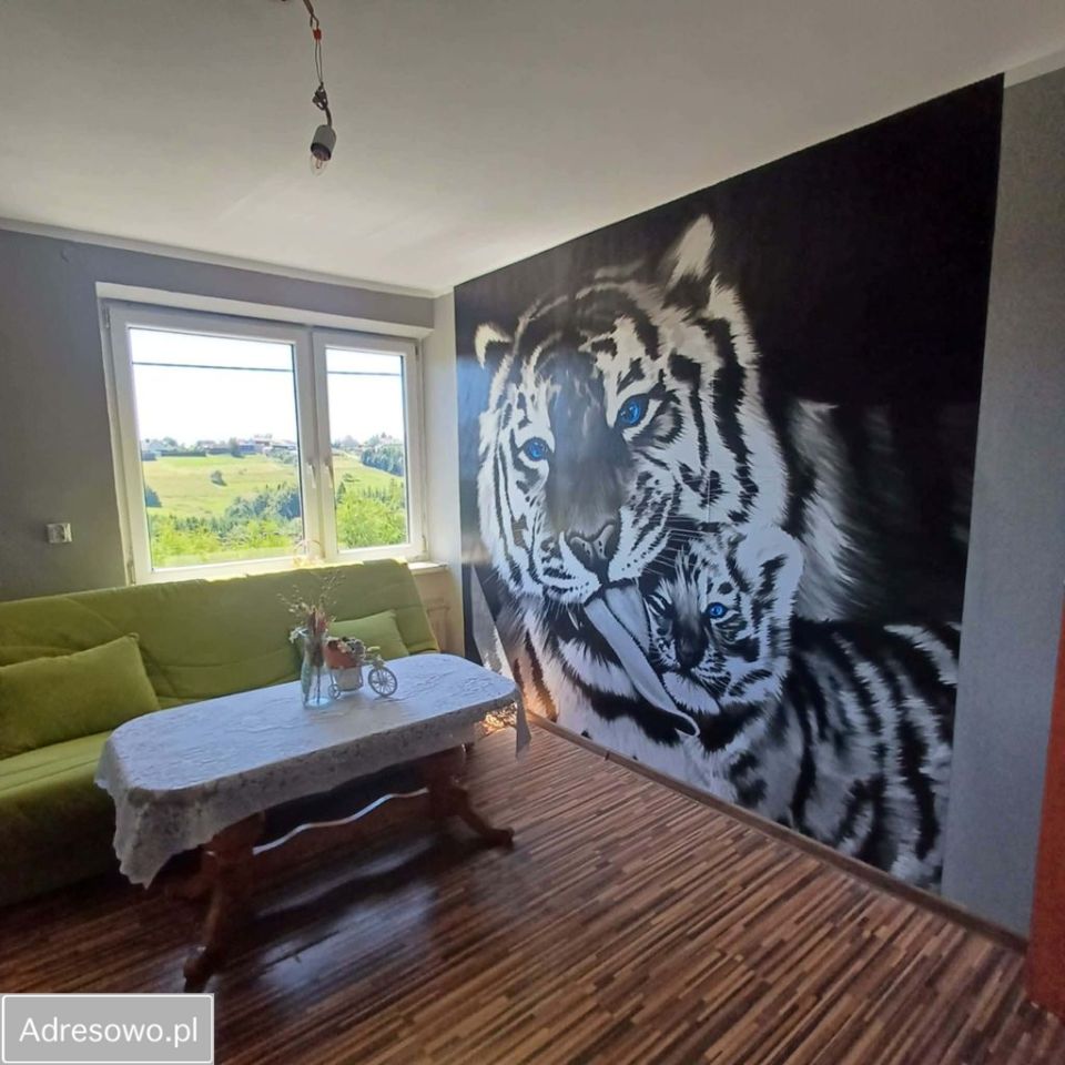 dom wolnostojący, 7 pokoi Koniaków Deje. Zdjęcie 4