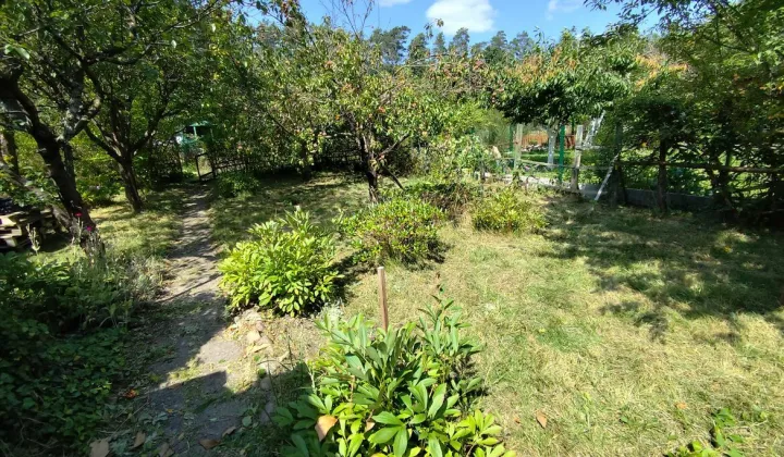 Działka rod Zielona Góra, ul. Botaniczna