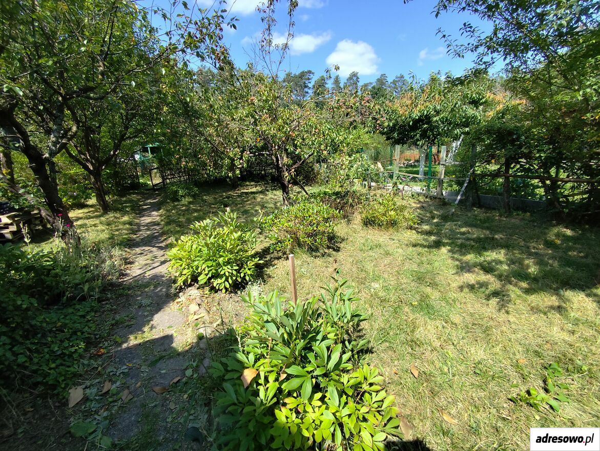 Działka rod Zielona Góra, ul. Botaniczna. Zdjęcie 1