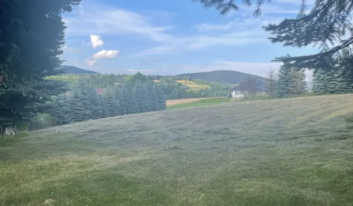 Działka budowlana Mszalnica