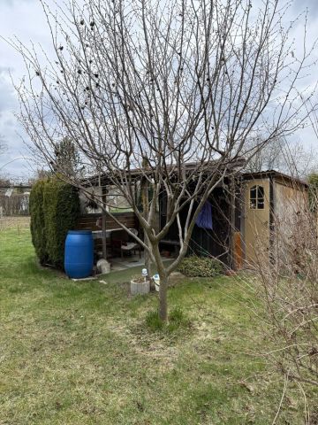 Działka rod Przysucha. Zdjęcie 1