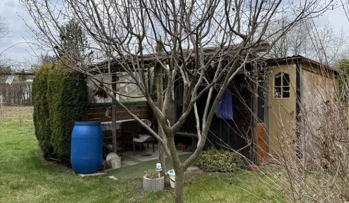 Działka rod Przysucha