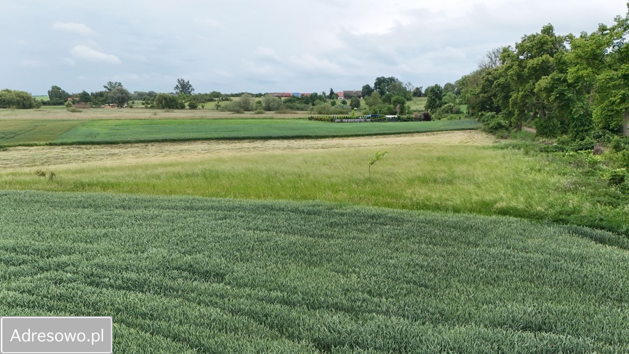 Działka rolno-budowlana Głazów. Zdjęcie 8