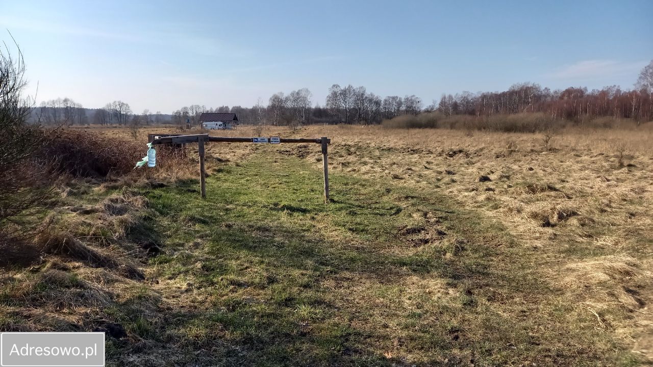 Działka rolna Sasino, ul. Żurawia. Zdjęcie 16