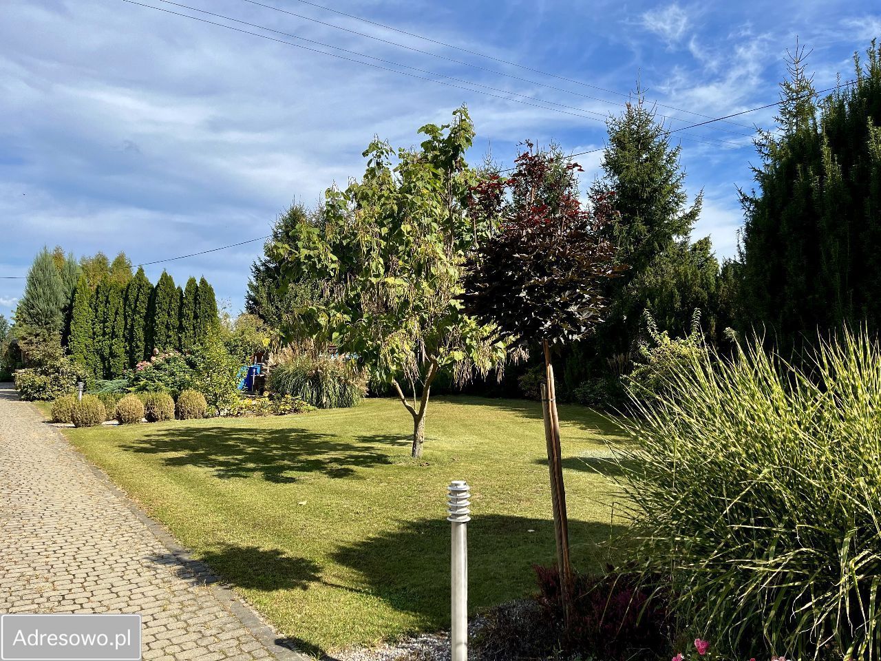 siedlisko, 6 pokoi Strzyżew Strzyżew-Parcela. Zdjęcie 6