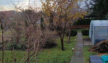 Działka rod Tomaszów Mazowiecki, ul. Krzywa