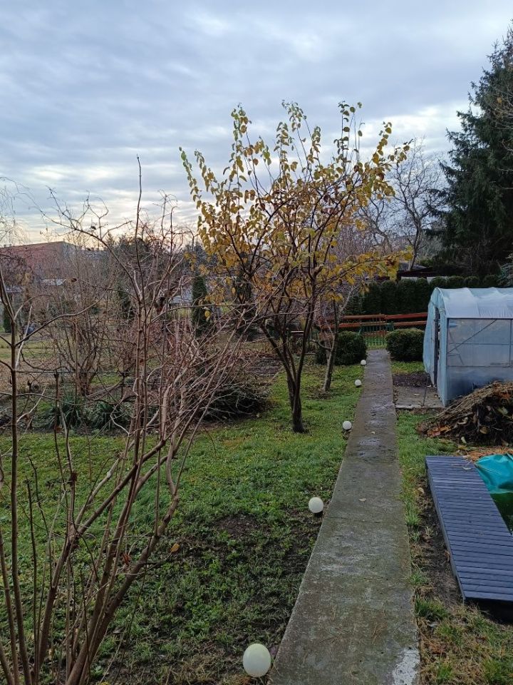 Działka rod Tomaszów Mazowiecki, ul. Krzywa. Zdjęcie 2