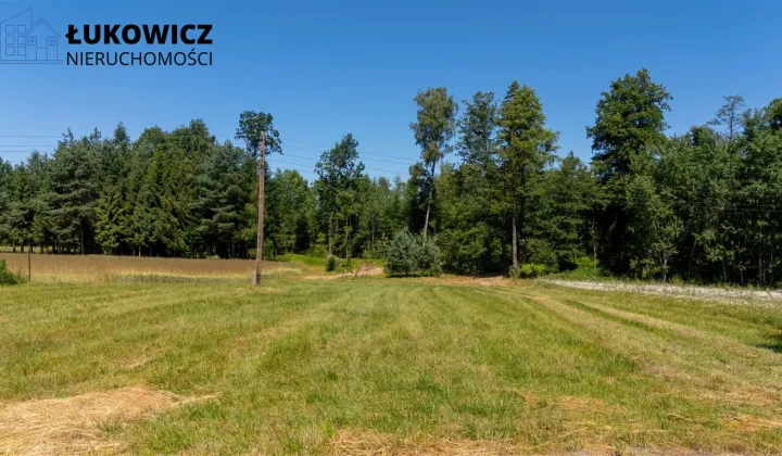 Działka budowlana Dankowice