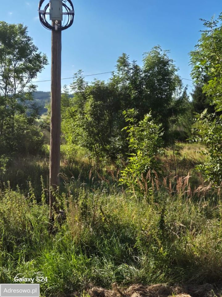 Działka budowlana Dębrznik. Zdjęcie 4