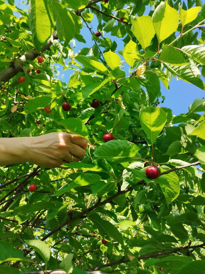 Mieszkanie 3-pokojowe Przemyśl, ul. Artura Malawskiego. Zdjęcie 38