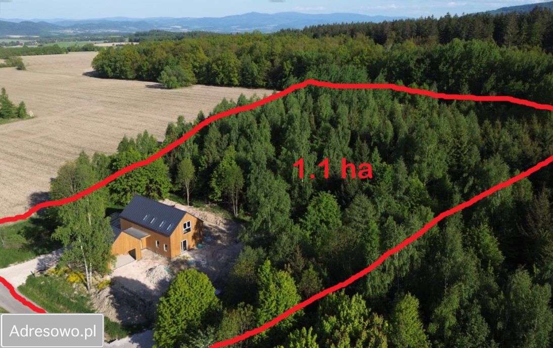 dom wolnostojący, 6 pokoi Polanica-Zdrój. Zdjęcie 13