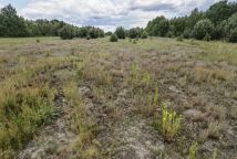 Działka rolno-budowlana Łukawa, Łukawa. Zdjęcie 3