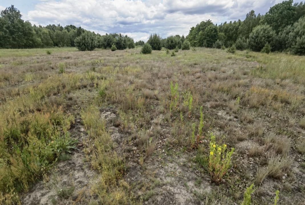 Działka rolno-budowlana Łukawa, Łukawa. Zdjęcie 4