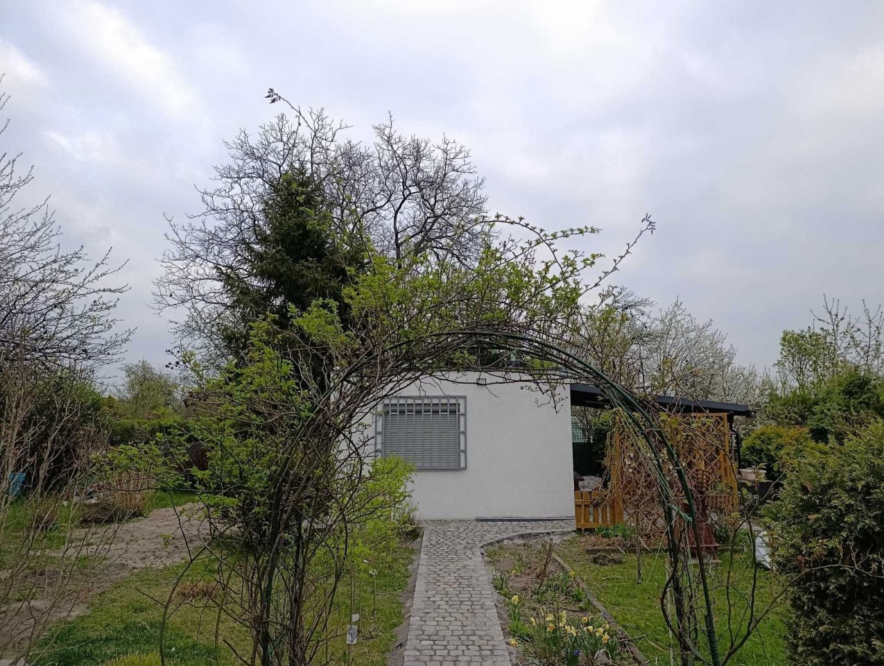 Działka rod Zabrze. Zdjęcie 1