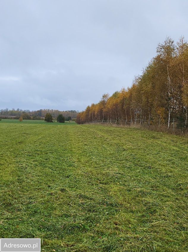 Działka siedliskowa Karlikowo Lęborskie. Zdjęcie 3